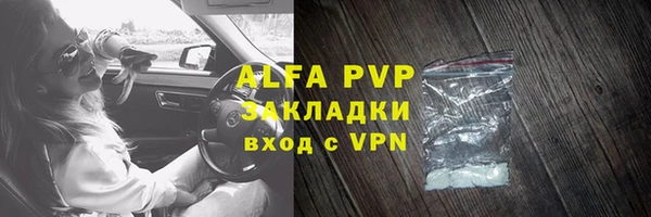 дурь Инта