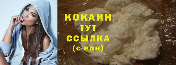 дурь Инта