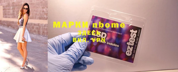 дурь Инта