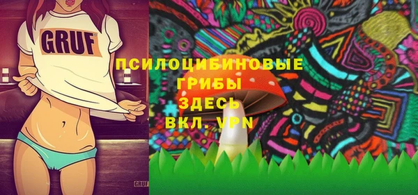 дурь Инта
