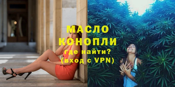дурь Инта