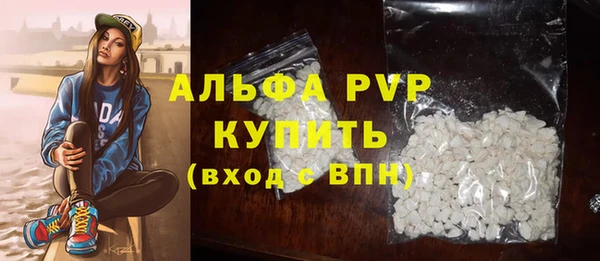 дурь Инта