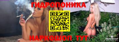 прущие грибы Тула
