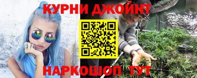 прущие грибы Тула
