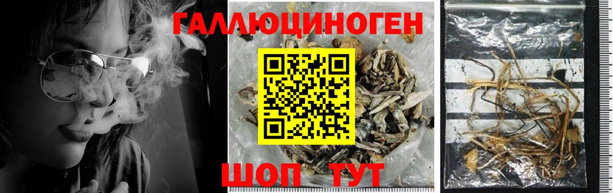 Ярославль  Галлюциногенные грибы Psilocybe  Галлюциногенные грибы Psilocybine cubensis  Вход с VPN 