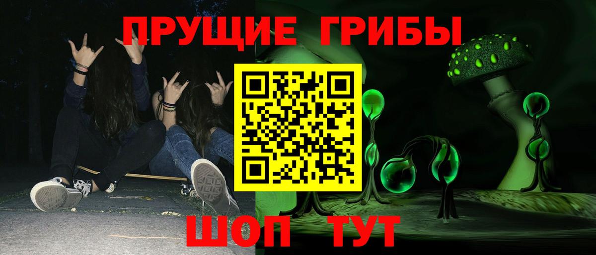 Галлюциногенные грибы Psilocybine cubensis Ярославль